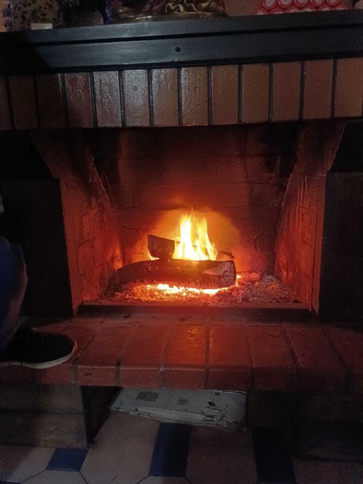 Vendo lenha seca eucalipto