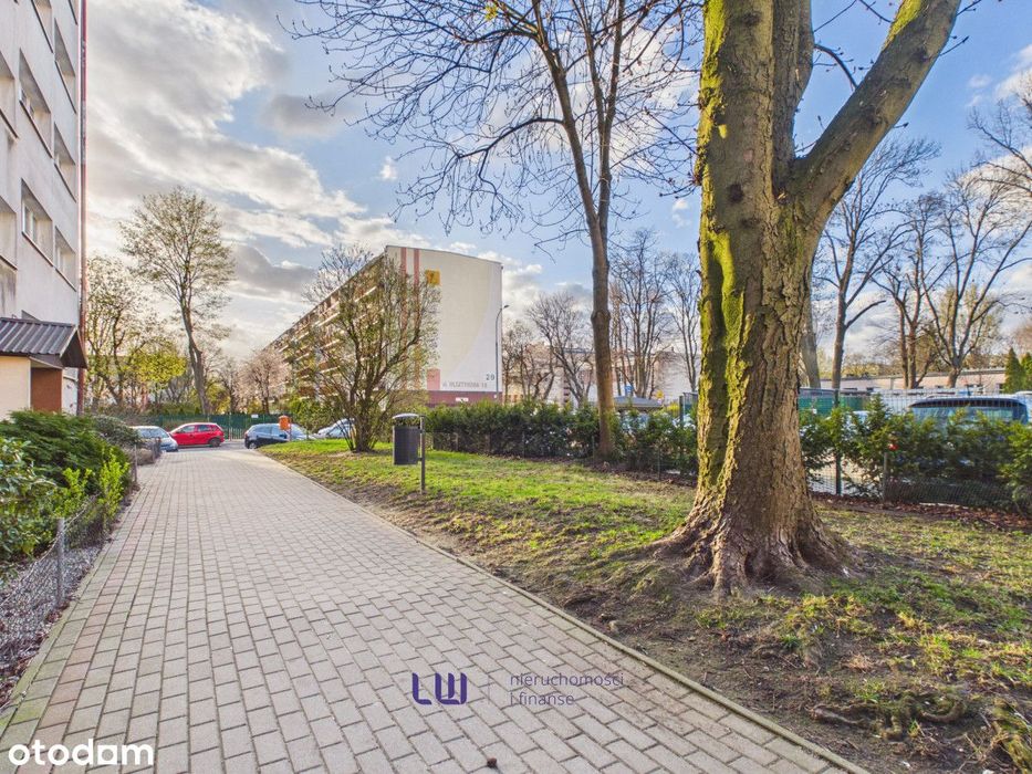 Gotowe do wprowadzenia m2 w zielonej części Bałut