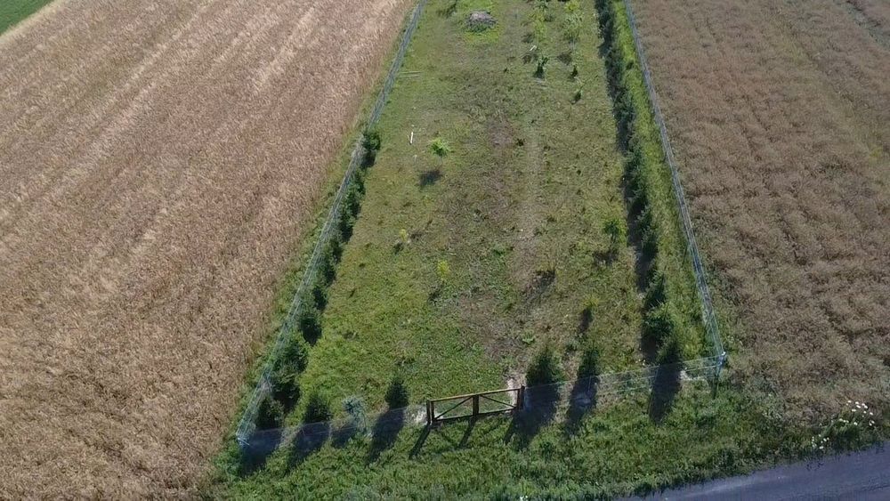 Dom wolnostojący z działka 15ar