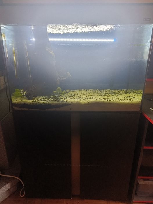 Aquário 140 litros