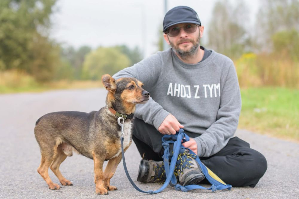 Mały wrażliwy uroczy Minio do adopcji