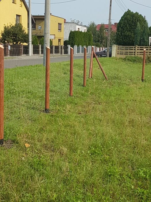 Wałki bale toczone słupki stemple półwałki