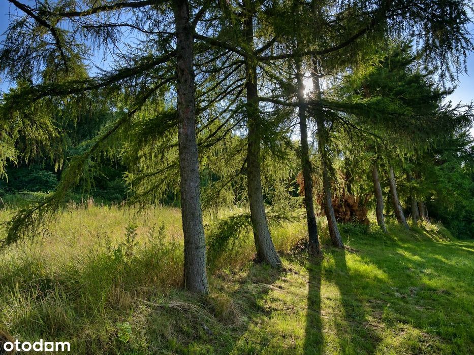 Widokowe 32 ar | MN-ML-U | Czchów | inwestycja + dom + rekreacja