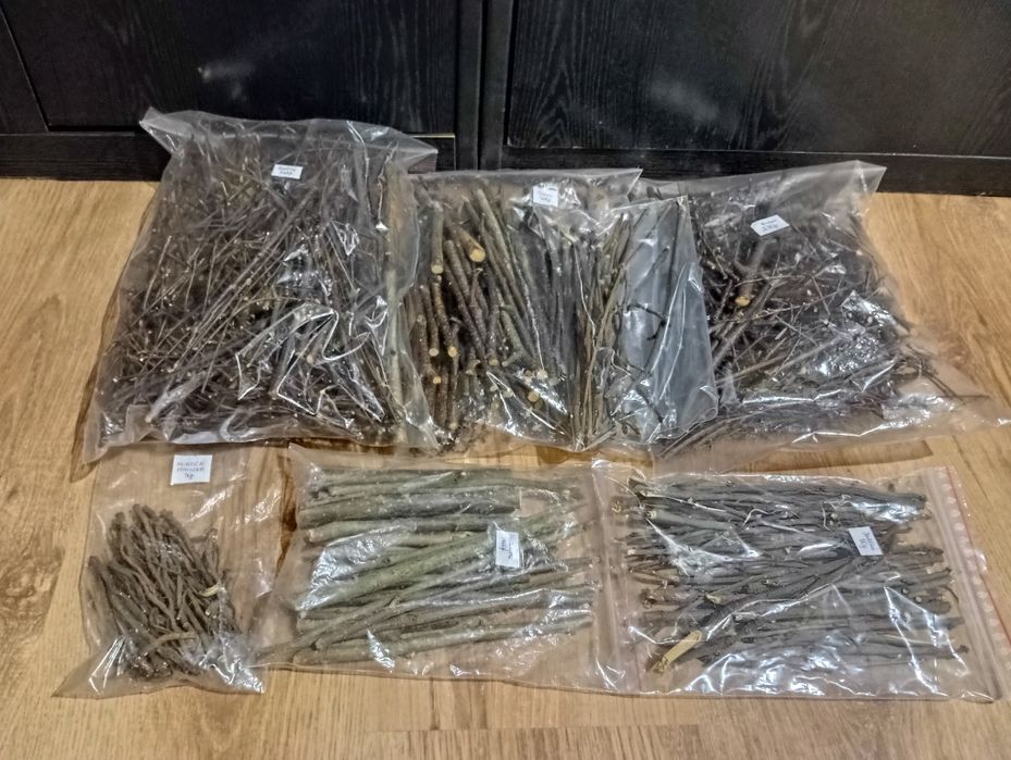 Gałęzie dla gryzoni PROMOCJA!!!