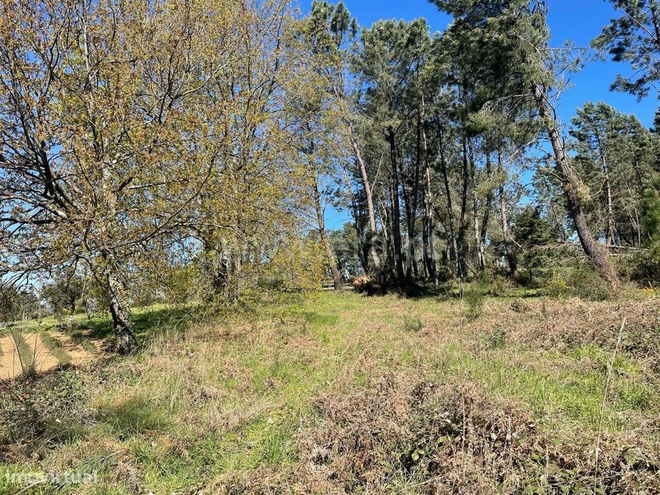 Terreno / Seia, Santiago — Santiago, Guarda