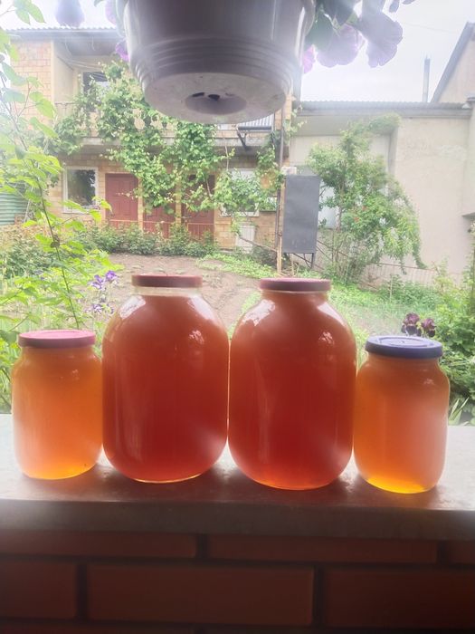 Продам мед зі власної пасіки Київ, Подільський район