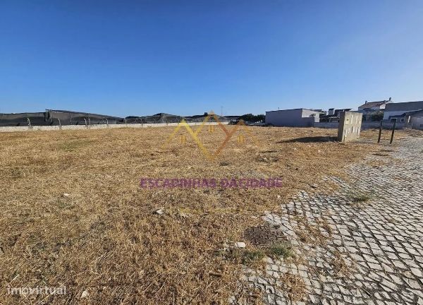 Viva no Montijo. Viva nas Casas da Broega.