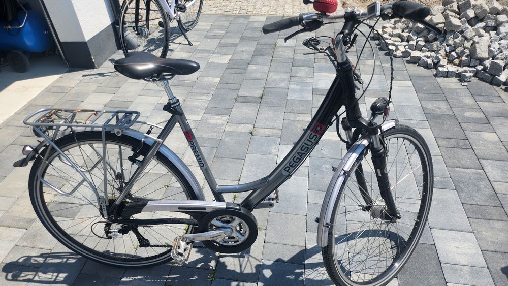 Rowery Pegasus zwykłe