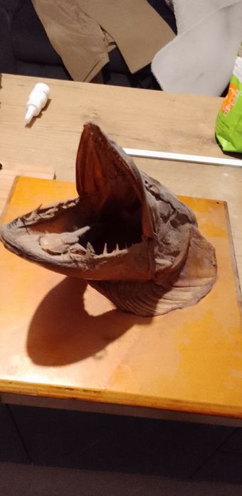 Sprzedam głowę szczupaka