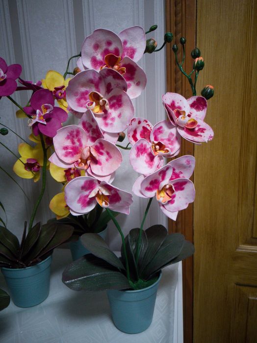 Орхідеї квіти для декору поларунок