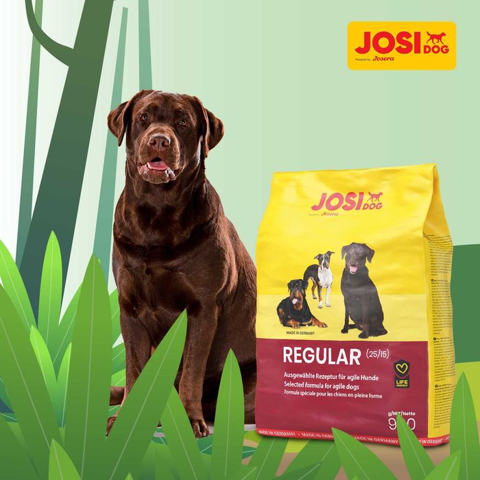 Josera JosiDog Regular сухий корм для активних собак 18 кг