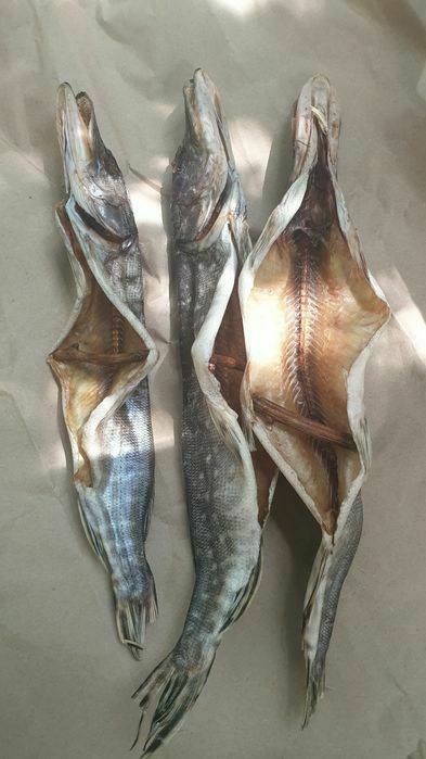 Чехонь крупна з ікрою.малосольна жирна Тарань