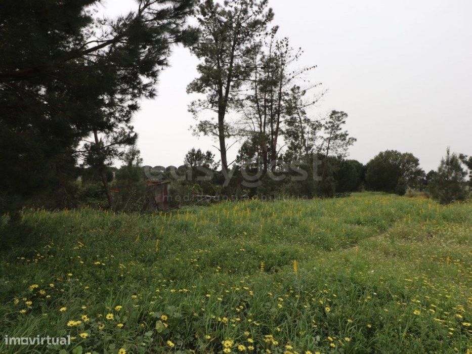 Terreno Rústico com viabilidade de Construção