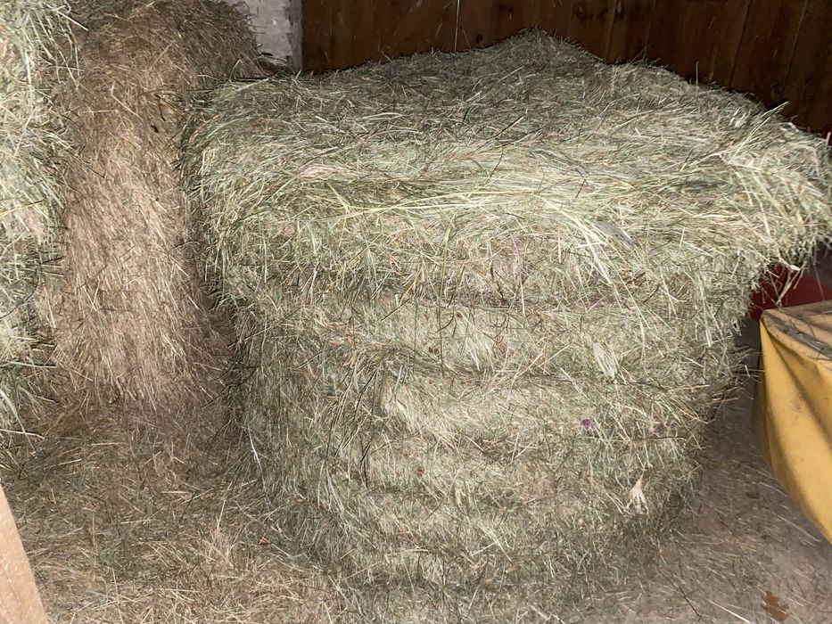 Siano w balotach, słoma owsiana