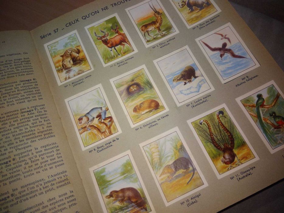 NESTLÈ - Les merveilles du monde - Livro de cromos