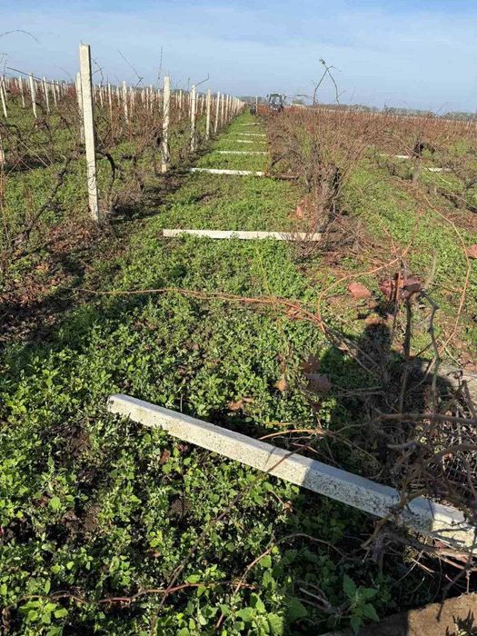 Стовпи стовпчик на огорожу паркан забор з сітки сетка рабиця дріт