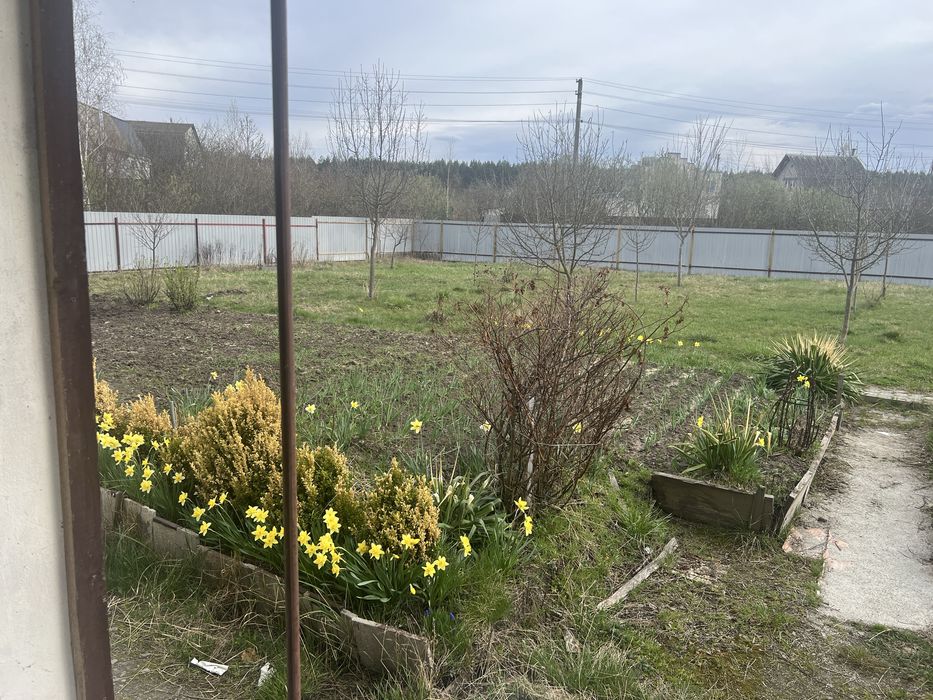 Новий будинок, Барашівський масив