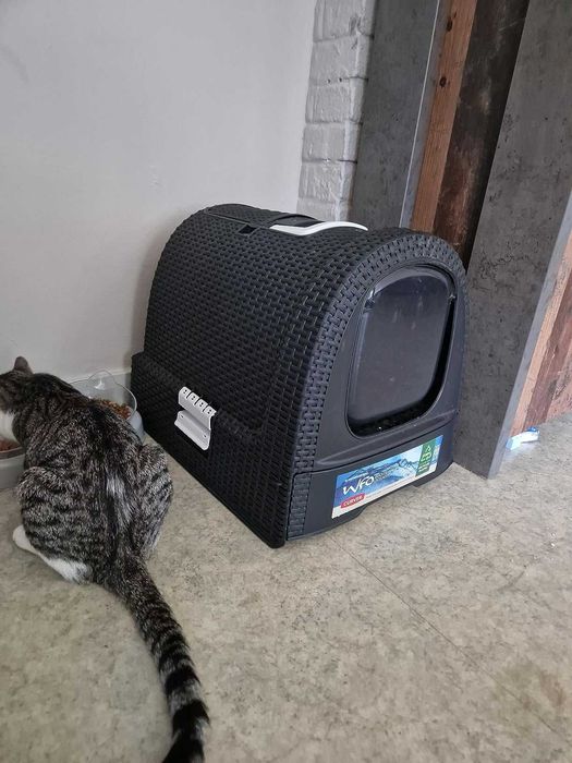 Nowoczesna kuweta dla kota kot dom zwierzęta ciemna duża rattan