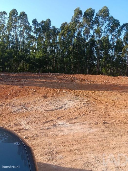 Terreno Agrícola em Évora de Alcobaça de 9770,00 m2