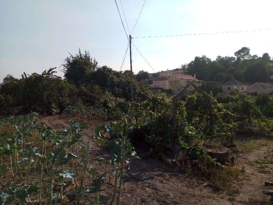 Casa para restauro com terreno Distrito de Viseu