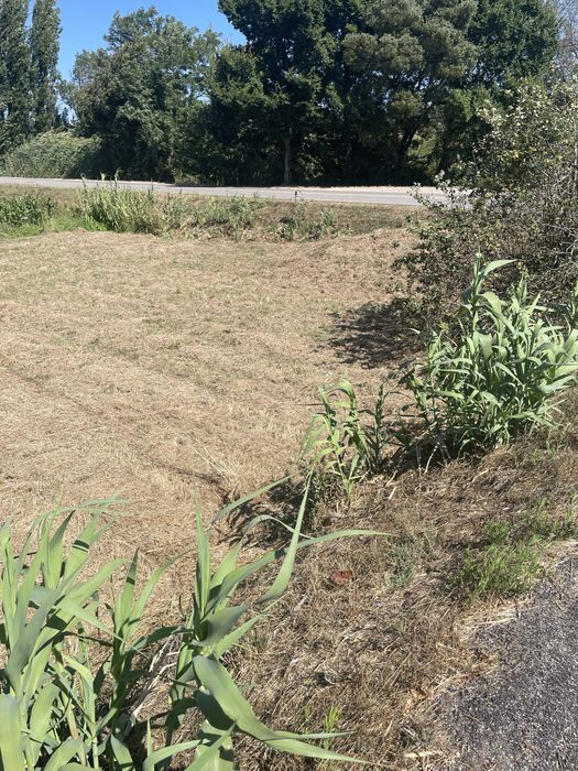 Terreno com viabilidade de construção