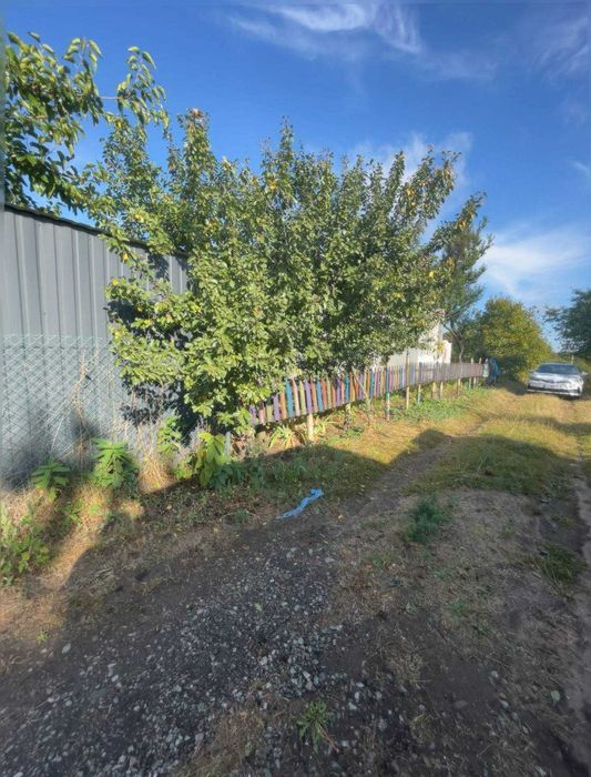 Продажа участка земли в СТ Припять (Васильковский район )