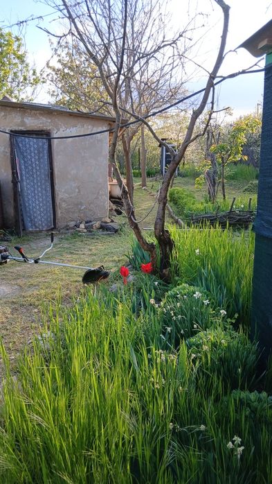 Продам  две  дачи (20 сот.)