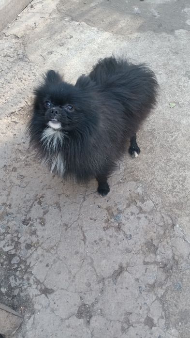 Хлопчик енерджайзер