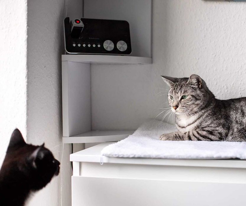 Nowy koc samonagrzewający / mata grzewcza dla kota Pfotenolymp !2122!