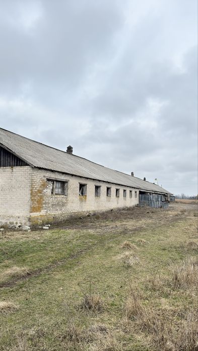 Аренда нежитлове приміщення 700 кв.м