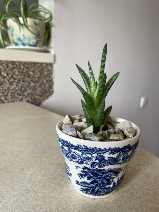 Вазончик       Декор