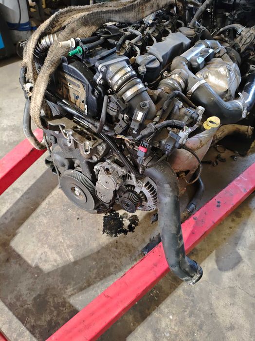 Motor 1.6 HDI /tdci G8DB