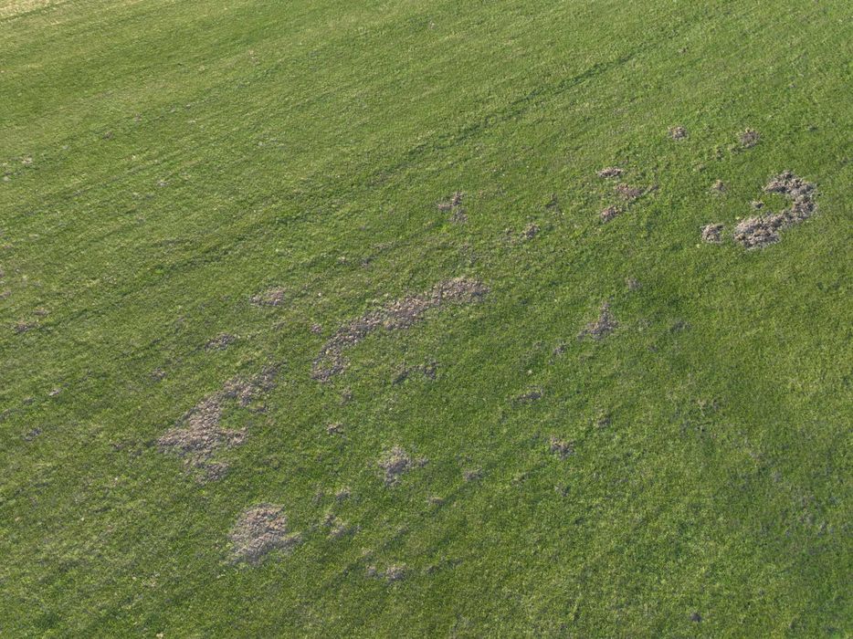 Dokumentacja szkód w uprawach, szkód łowieckich dronem + mapa