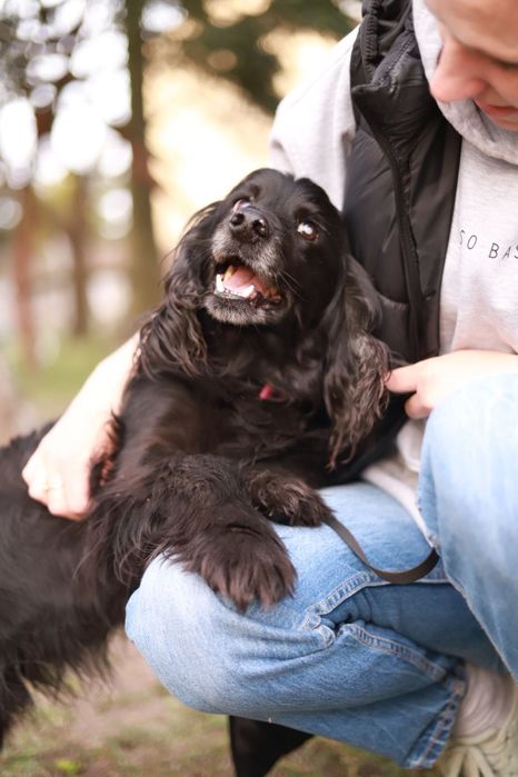 Hej, jestem łagodny i przyjacielski. Zostaniesz moim człowiekiem?