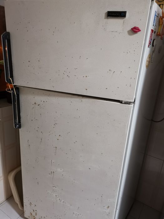 Frigorífico Philco