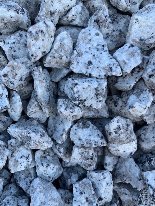 Grys granitowy dalmatynczyk, do ogrodów