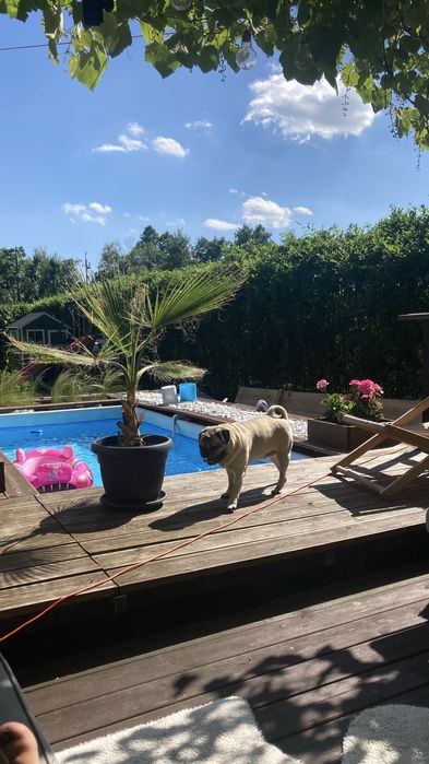 Działka rekreacyjna Zalew Dziećkowice