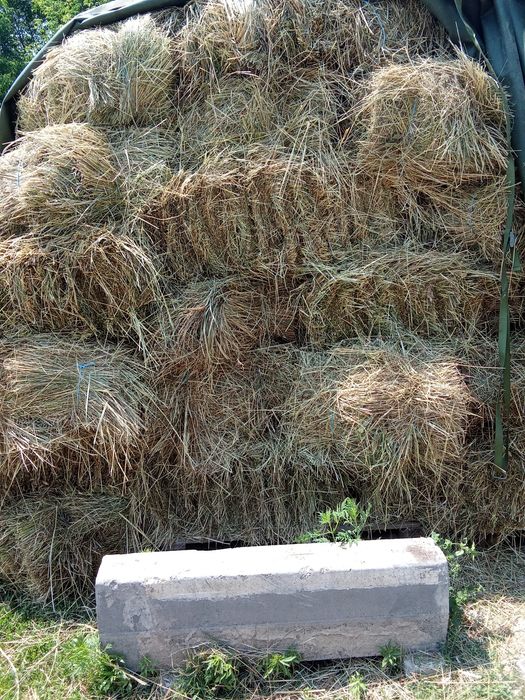 Продам Сено (Луговое)