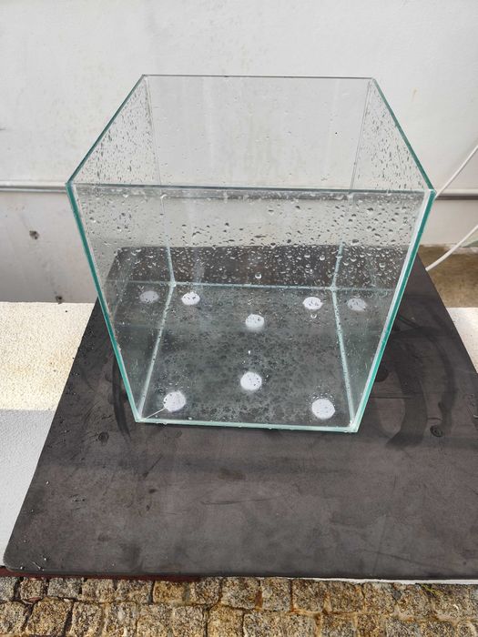 Urgente Aquariofilia, aquário, plantas e peixes