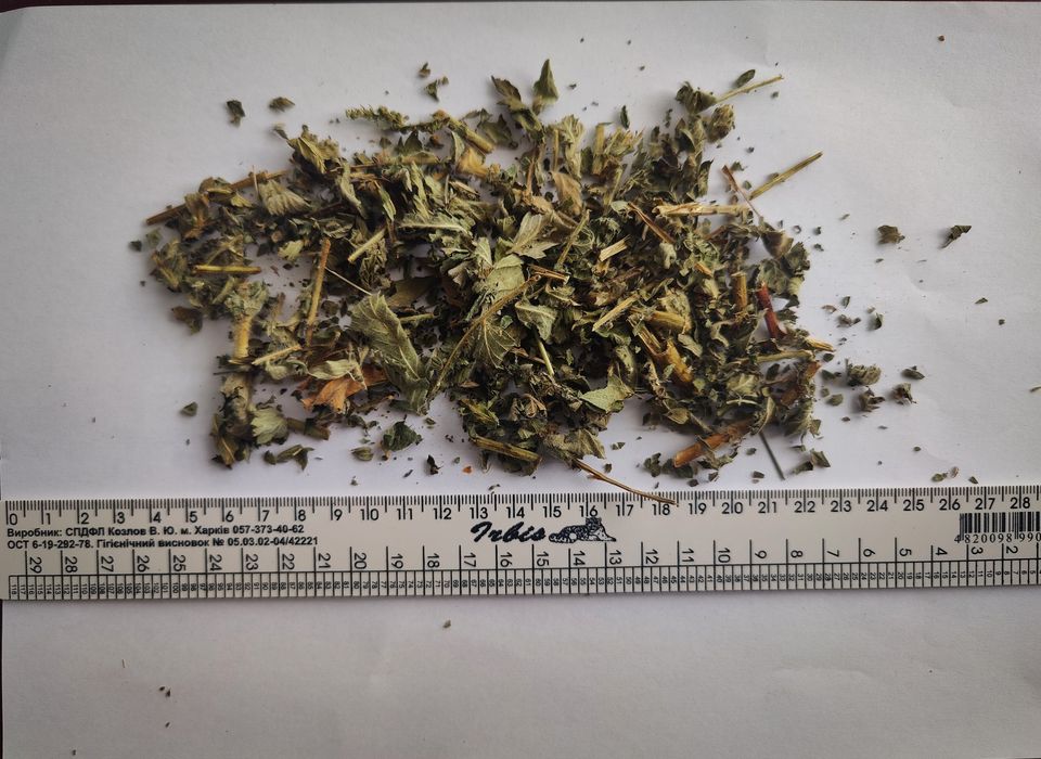 Репяшок трава ціна за кг