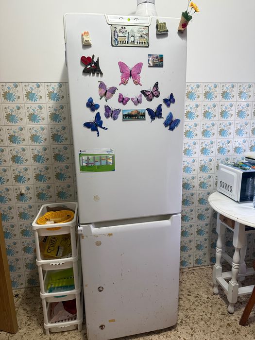 Geladeiras frigorífico