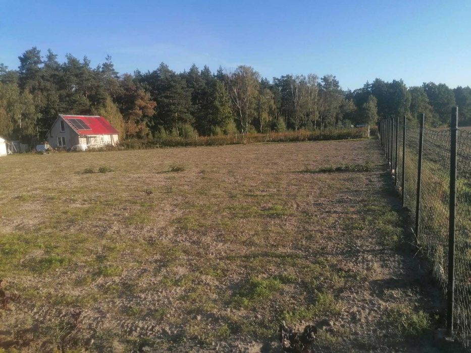 Działka z wydanymi warunkami zabudowy - Wilamy powiat płoński, gmina Załuski - 2 x 1500 m² - Widok 5