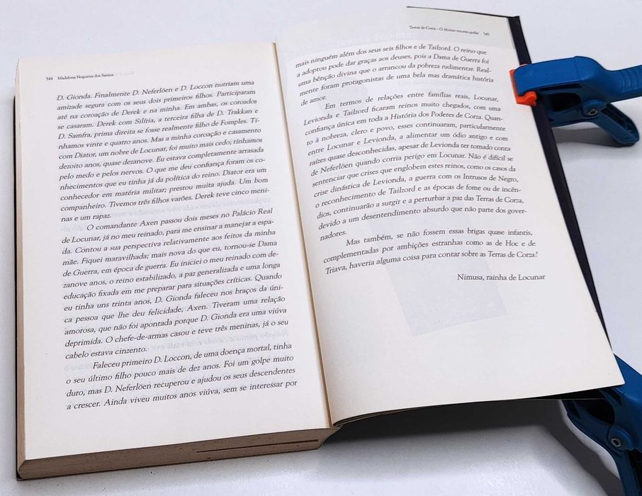 O décimo terceiro poder, de Madalena Santos