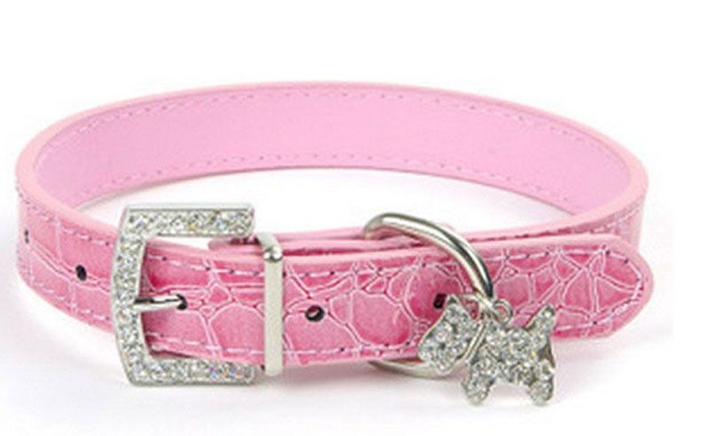 Kolorowe obróżki dla piesków