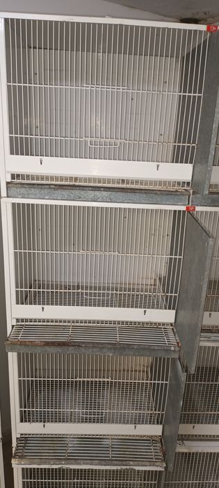 Gaiola Voadeira usada!!!