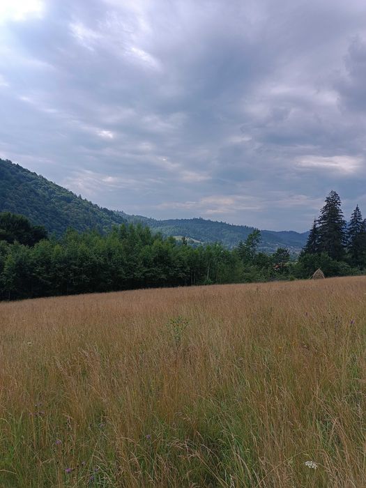 Продається земельна ділянка в Карпатах.