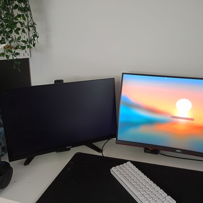 Monitor 165hz IIYAMA