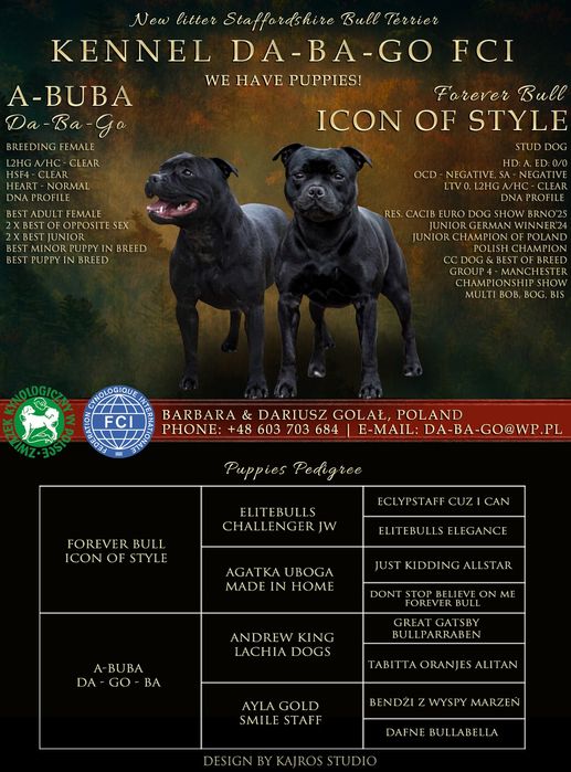Staffordshire Bull Terrier