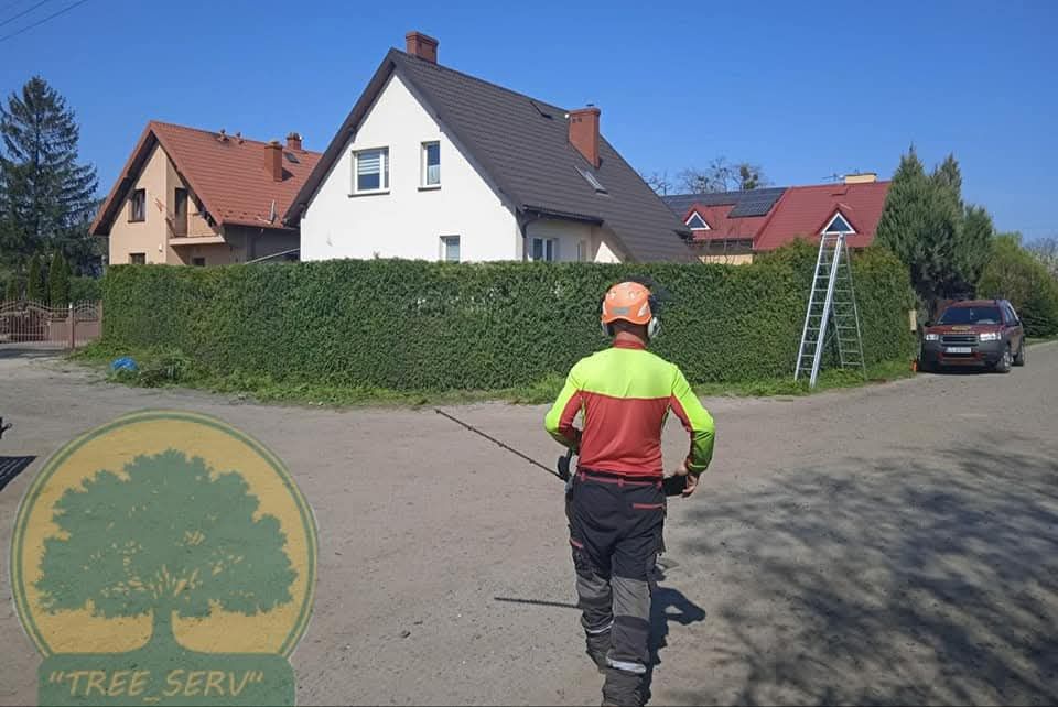 Tree Serv Wycinka oraz pielęgnacja drzew i krzewów.
