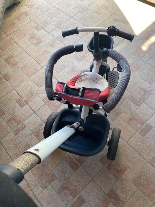 Triciclo evolutivo